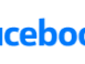 Visa partner logo