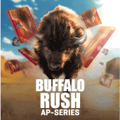 Buffalo Rush game thumbnail